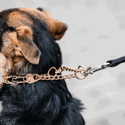 HS Sprenger Trainingshalsband ULTRA-PLUS Easy On