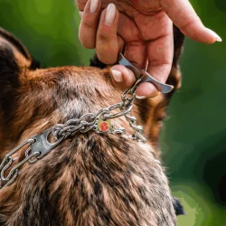 HS Sprenger Trainingshalsband Ultra Plus 1