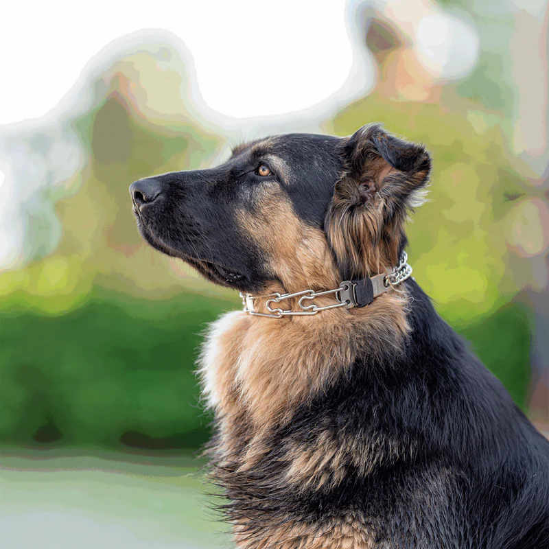 HUNDEHALSBAND HS SPRENGER Silberfarben 2 mm Verbindungen Verdreht 60 cm EUR 27,99 - DE