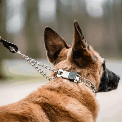 HS Sprenger Trainingshalsband Ultra Plus Clicklock