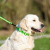 Honey_green-11-768x768 Euro Joe Halsband Sporty