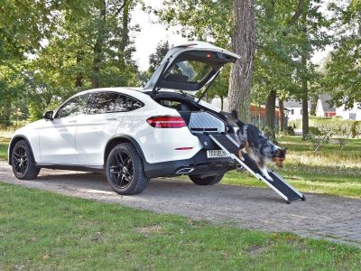 DOGWALK Aluminium Hondenhelling