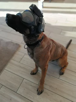 IMG_8E7E4A4DA9CB-1 DarkFighter K9 Camera System