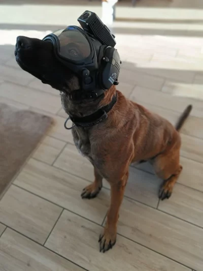 IMG_8E7E4A4DA9CB-1 DarkFighter K9 Camera System