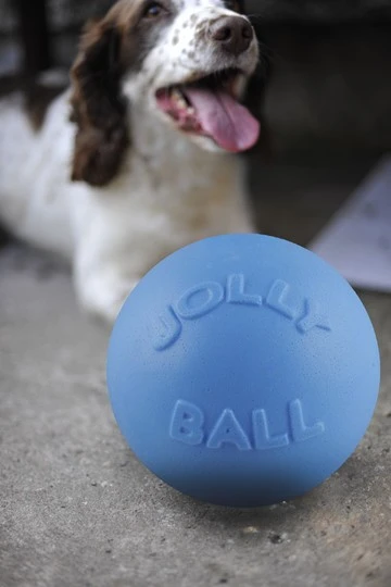 Jolly Ball Bounce-n Play Baby Blauw
