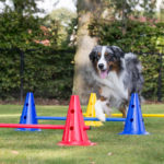 MOOFFZ Jump & Fun set MOOFFZ Jump & Fun set