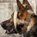 MOHOC K9 Hoofdharnas MOHOC K9 Hoofdharnas