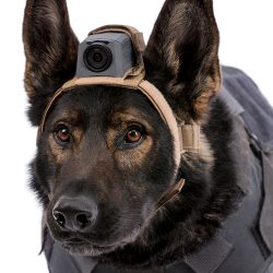 K9 Mount2 MOHOC K9 Hoofdharnas