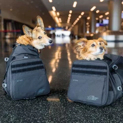 K9 Sport Sack Skypack Zwart4 K9 Sport Sack Skypack Zwart