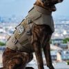 DarkFighter Ballisctisch K9 VEST DFK9