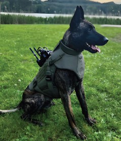 DarkFighter Ballisctisch K9 VEST DFK9