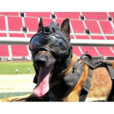 K9 Vision System K9 HELM OPS K9 Vision System K9 HELM OPS