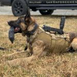 TSE K9 Camera Kit High Power Version 2 TSE K9 Camera Kit High Power Version 2