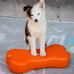 K9FITbone -58 x 29 x 10 cm K9FITbone -58 x 29 x 10 cm