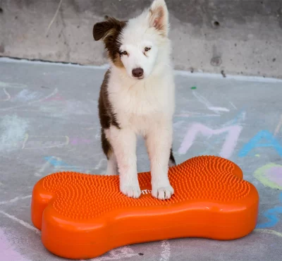 K9FITbone -58 x 29 x 10 cm K9FITbone -58 x 29 x 10 cm