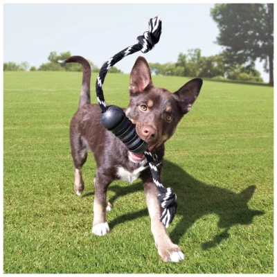 KONG Extreme Dental met touw M 1 KONG Extreme Dental met touw M