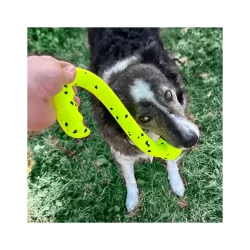 KONG Reflex Tug n Fetch