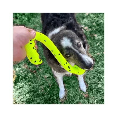 KONG Reflex Tug 'n Fetch5 KONG Reflex Tug n Fetch