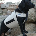EliteK9 K-9 Cooling Vest EliteK9 K-9 Cooling Vest