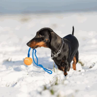 Ketting verstelbaar met Sprenger Haak 2.0 mm