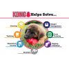 KONG Puppy Blauw of Roze