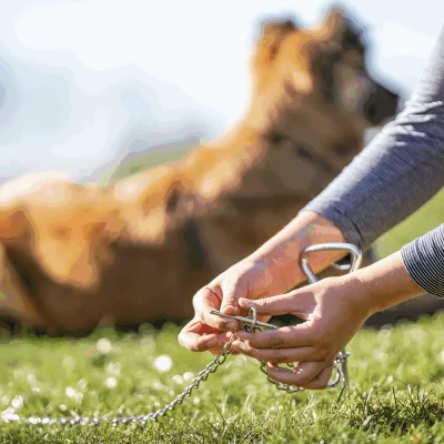 Legketting Vernikkeld Staal 3 mm 200 cm