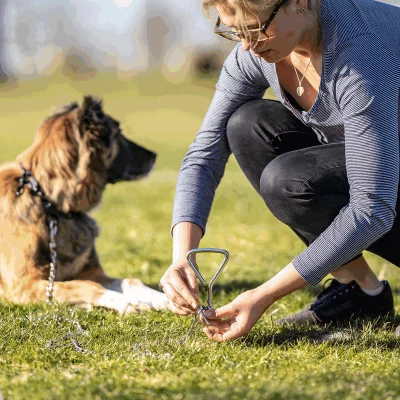 Legketting Vernikkeld Staal 3 mm 200 cm