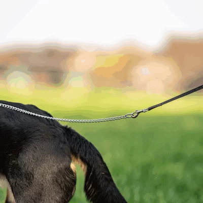 Leidingsketting Verchroomd Staal 3 mm 80 cm 1 Leidingsketting Verchroomd Staal 3 mm 80 cm