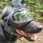 K9 Helm CS1 A2 MOHOC Mount K9 Helm CS1 A2 MOHOC Mount