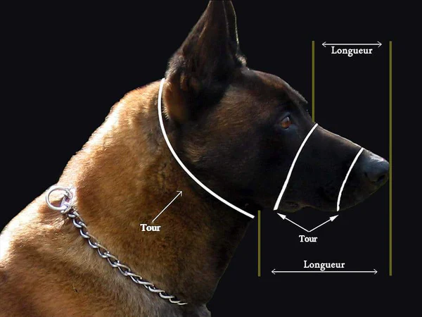 DOGART Air Pro Striking Muzzle