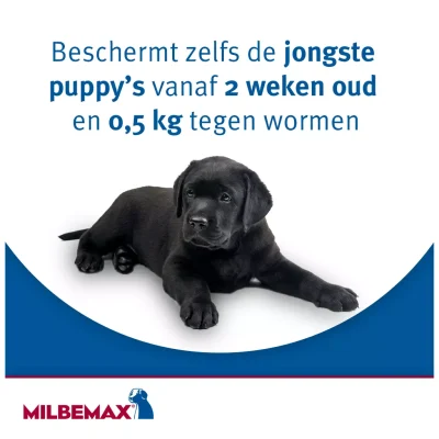 Milbemax Ontwormingstabletten7 Milbemax Ontwormingstabletten