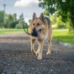 Monster K9 Rumble Rope Ball Monster K9 Rumble Rope Ball