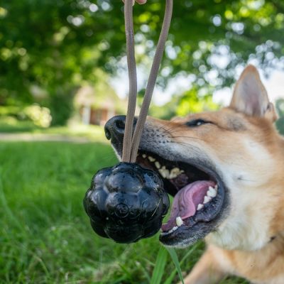 Monster K9 Rumble Rope Ball4 Monster K9 Rumble Rope Ball