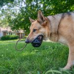 Monster K9 Rumble Rope Ball