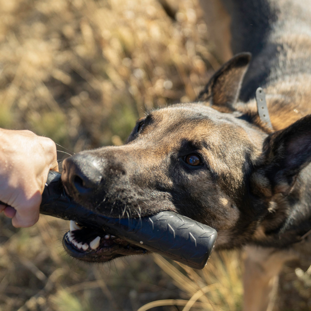 Monster K9 Kauwstaaf Monster K9 Kauwstaaf