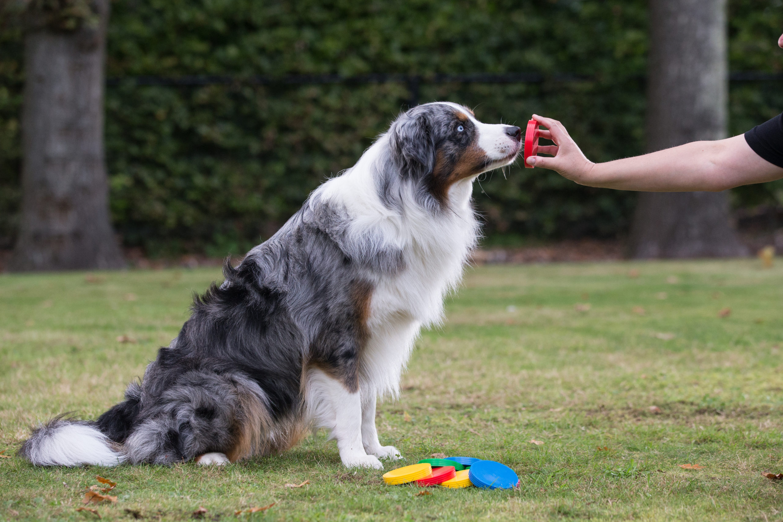 Mooffz targetschijven set van 8