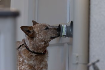 Multi Target Training System (MTTS Original) ™3 Multi Target Training System (MTTS Original) ™