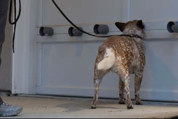 Multi Target Training System (MTTS Original) ™4 Multi Target Training System (MTTS Original) ™