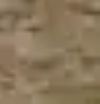 MultiCam Arid +&euro;15,00