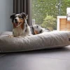 Mypado Dute Teddy Hondenkussen4 Mypado Dute Teddy Hondenkussen