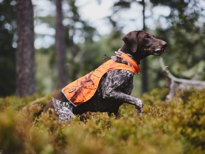 NON-STOP Camo Cover 3 NON-STOP Camo Cover