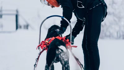 NON-STOP Combined Harnas