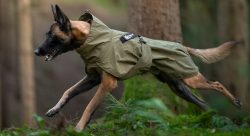 NON-STOP Fjord Regenjas WD