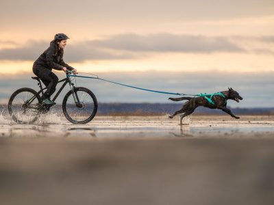 NON-STOP Freemotion harnas 5.0 5 NON-STOP Freemotion harnas 5.0