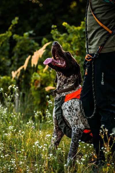 NON-STOP Protector Vest GPS 2.0