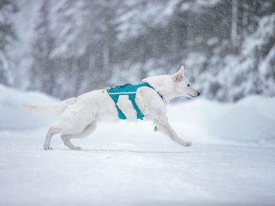 NON-STOP Ramble Harnas Long 3 NON-STOP Ramble Harnas Long