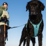 NON-STOP Ramble Harnas Long NON-STOP Ramble Harnas Long