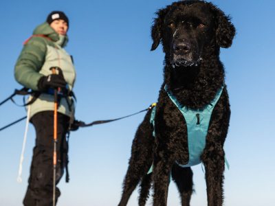 NON-STOP Ramble Harnas Long 4 NON-STOP Ramble Harnas Long