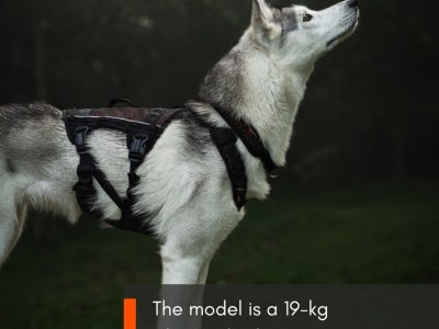 NON-STOP Rock Harnas Long