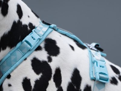NON STOP Trekking line harness CLIP'N5 NON STOP Trekking line harness CLIP'N
